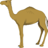 Brown Standing Camel Clip Art